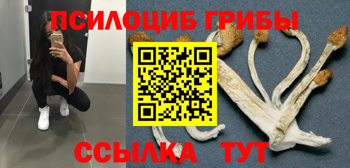 Соль-Илецк  Галлюциногенные грибы ЛСД  Галлюциногенные грибы Cubensis  Вход с VPN 